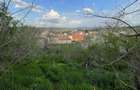 Teren de vanzare Daia Sibiu - 6