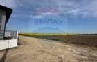 Teren 545,000mp Dragomiresti-Vale - 14
