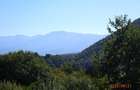 Teren intravilan cu PUZ, str. Ciresilor, Cisnadioara 1409 mp, front 29 m, 59.5 /mp