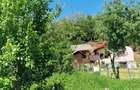 Proprietate în Comuna Botești, Județul Argeș – Zonă Pitorească și Liniștită ! - 3