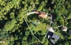 Casa in mijlocul naturii in orasul Campulung - 7