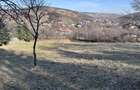Teren langa Piatra Neamt - 2