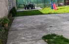 Casa renovata , 3 dormitoare, 849 mp teren zona excelenta Pec - 5