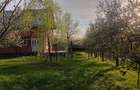 Proprietate de vanzare - 3