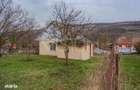 Casa la tara | 57 m2 + anexe | 2844 m2 teren | Caianu - 4