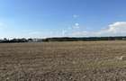 Teren intravilan 9800 mp -Ganeasa ,jud Ilfov - 6