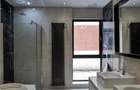 Dorobanti Penthouse supr. 235mp terasa 130mp - 26