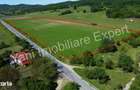 Teren de vanzare in comuna Tigveni, jude? Arge? ( 69.700 mp ) - 5