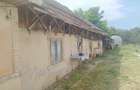 Particular casa la tara rustica 2100 mp, cu livada, solar legume si utilitati - la aproximativ 60 km de Bucuresti - 7