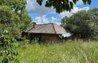 Casa de vanzare l Dangau Mare l 3135 MP Teren - 17