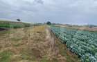 Teren de vanzare, 4700 mp, Strada Brazilor