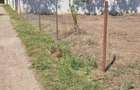 Particular teren de vanzare Moara Vlasiei - zona rezidentiala