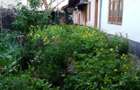 Teren cu casa intr-o zona excelenta - str. Nicopole nr. 42, Ploiesti - 1