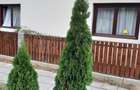 Inchiriez casa Beclean, zona linistita - 3