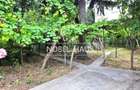 Teren intravilan Barlad, 707 mp, zona ultracentrala, str Bradului - 11