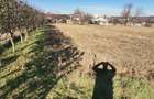 Teren de 6000 mp, în Fălticeni - 8