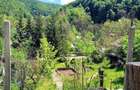 Teren si casa de vanzare - 4