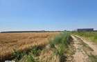 Teren extravilan cota parte 1/2, Magurele, ID: R2641535