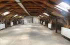 Spatiu industrial productie mobilier, jud Mures - 16