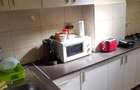 P.F inchiriez apartament 2 camere langa Iulius Mall. - 1