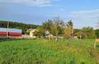 Oferta. Proprietar vand teren intravilan - 2