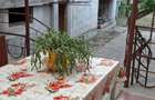 Proprietate Unica In Zona Zero Oradea | 2 Cladiri - 3