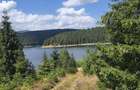 Teren 5.000 mp la Lacul Beli?-Fantanele - 11