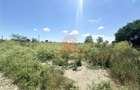 Teren Intravilan 1700 mp - Localitatea Amzacea - 4