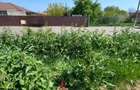 Teren intravilan 1.700 mp de vanzare | Tomis Plus | Ideal in - Constanta (Constanta)