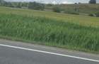 Teren de vanzare in huedin - 4