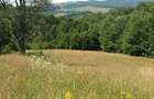 Teren in Capet, Sovata 2500mp - 2