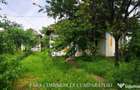 TEREN 2539 MP - STOLNICENI DN 64 - Ramnicu Valcea (Valcea) - 13