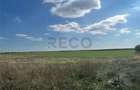 RECO Oportunitate teren 25000mp Santandrei - 2