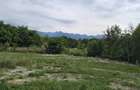 Vand teren de 1100 mp, deosebit, in localitatea Arpasu de Sus, la poalele Muntilor Fagaras - 5