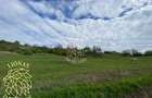 Teren 5000 mp-ideal investitie-Ghinda - 3