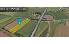 Teren 4 ha DJ 691 Giarmata | Langa A1 - 2