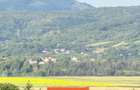 Teren 1600 mp strada cu case, zona linistita Podenii Noi - 6