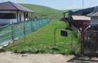 Teren intravilan Dezmir - 9