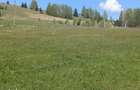 Vand teren la munte intravilan in Sarul Dornei la 8 km de Vatra Dornei - 1