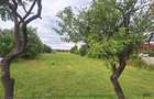 Vand teren intravilant - 1