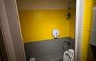 Spatiu Comercial de inchiriat pe Bd. Corneliu Coposu nr. 2, Pret Negociabil - 4