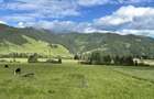 Teren premium 2423mp Saru Dornei, plat, intravilan, utilitati - 3