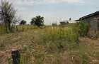 Teren intravilan 1.000 mp in Malu Mare, ideal pentru constr - Malu Mare (Dolj) - 1