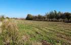 !!SUPER SALE !! Vanzare teren intravilan - 1