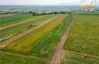 2 terenuri intravilane construibile aproape de Sfantu Gheorghe - 5