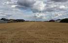 Teren intravilan 10.000 mp Santandrei | Toate utilitatile