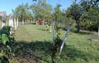 Casă cu Teren 1439 Mp în Alioș - 6