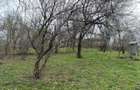 Teren intravilan 1518 mp, constructie, Sotrile, Prahova - 24 EURmp - 2