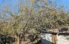 Casă cu Teren 2900 Mp în Vlădeni - 1