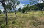 Teren intravilan, 1.137 mp, Valea Chiejdului, Dej - 2
